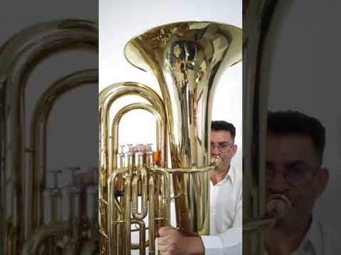 Hino 077 CCB Vamos lançar a semente