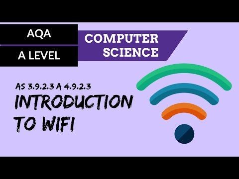 Data Types CS50 Shorts