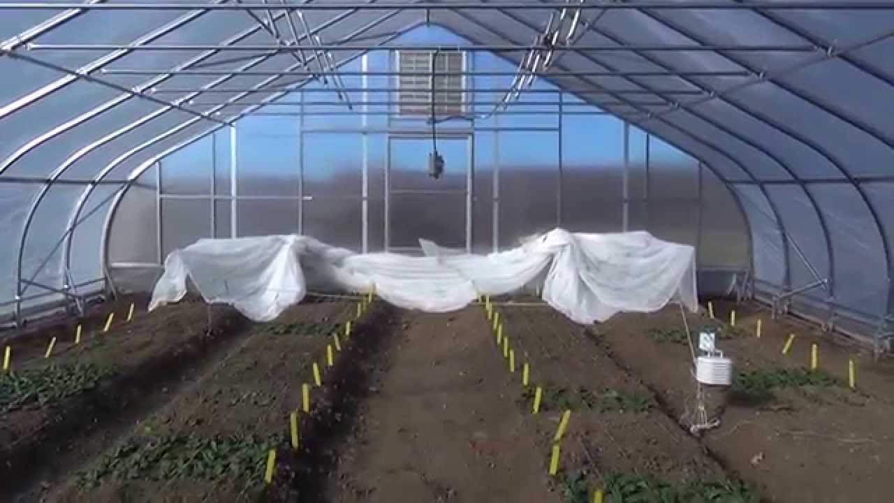 Single Poly vs Double Poly By Rimol Greenhouse Systems