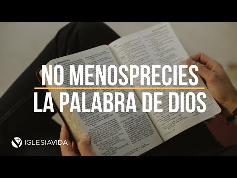 Don't Despise the Word of God - Dr. Carlos Andrés Murr | 4k