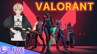 久しぶりにVALO
