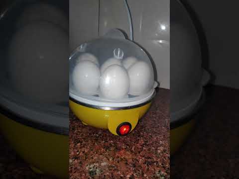 0153 Egg Cooker, Neural Electric Egg Boiler/ Steamer with Tray (Plastic, Multicolour, Medium Size)