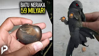 Download lagu Wow! This Saudi Man Discovers the Hell Stone Carried by the Ababil Bird! mp3 Download lagu Wow! This Saudi Man Discovers the Hell Stone Carried by the Ababil Bird! mp3