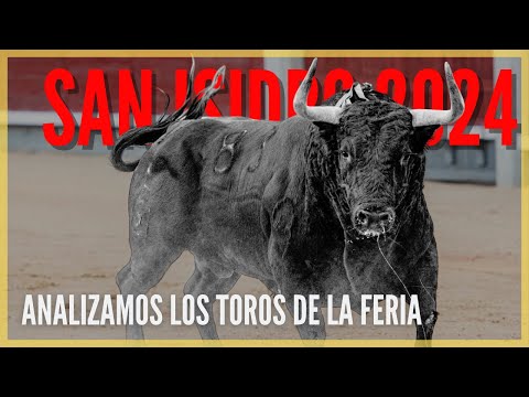 Análisis 🐂 Toros San Isidro 2024 🏟️ con Julio Fernández