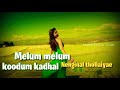 Satyam En Anbea L Vishal Nayantara Harris Jayaraj