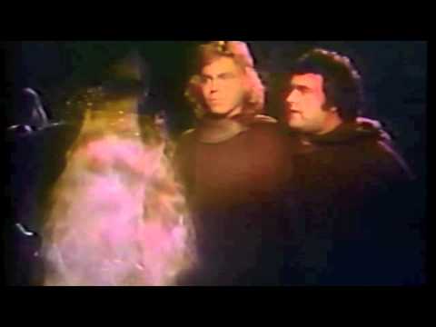 Clips from Wizards and Warriors