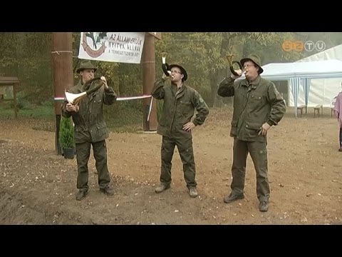 Egy év alatt, 24 millió forintból újult meg a szombathelyi Parkerdő