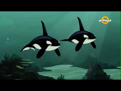 Frații Kratt - Blocați în Lumea Rechinilor (Sezonul 1, EP 24)