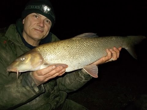Fishing a flooded River Severn for barbel. Tips. Venue focus.