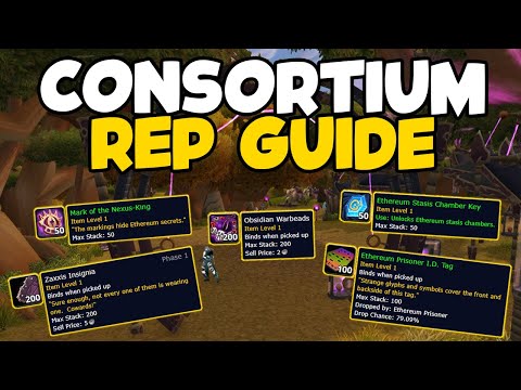 Consortium Reputation Guide (TBC Classic)