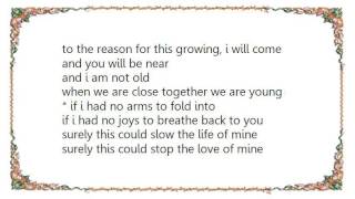 Denison Witmer - Closer to the Sun Lyrics