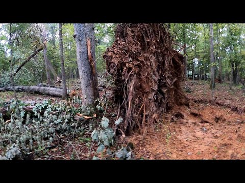 A tornado hits Earlysville VA