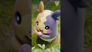 Pokémon Shorts - Animated Pokédex : Morpeko - #PokemonFunVideo #PokemonKidsTV​