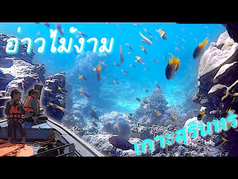 คลิกเพื่อดูคลิปวิดีโอ