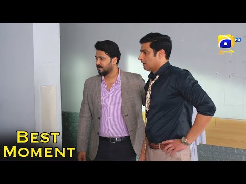 Grift Episode 29 || Ali Abbas - Saniya Shamshad || 𝐁𝐞𝐬𝐭 𝐌𝐨𝐦𝐞𝐧𝐭 𝟎𝟐 || Har Pal Geo