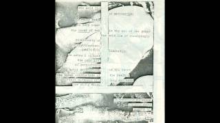 Das Synthetische Mischgewebe - The Cold Lie Of Pornography