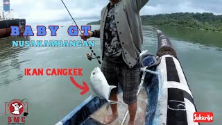 preview picture of video 'Mancing baby GT di nusakambangan ( Cilacap) | ultra light fishing'