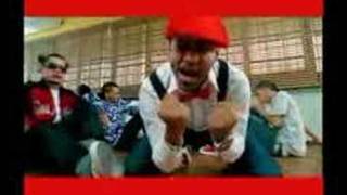 gratis shorty casa de leones gratis shorty casa de leones