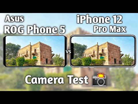 Asus ROG Phone 5 vs iPhone 12 Pro Max Camera Test Comparison