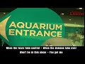 Gavin DeGraw You Got Me Lyrics Included From The Dolphin Tale 2 Movie Sep 12 2014