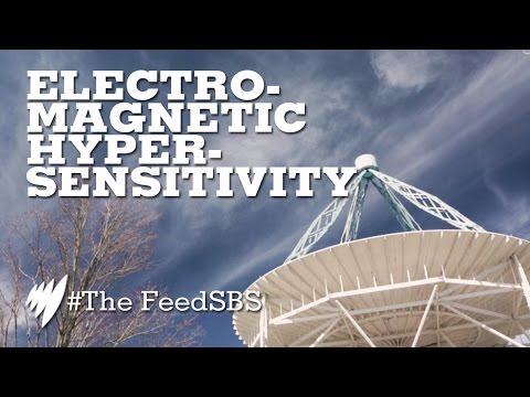 image-Is electromagnetic hypersensitivity syndrome real?