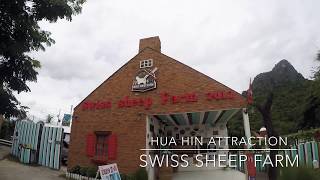 preview picture of video 'Swiss Sheep Farm @Hua Hin/Cha-Am'