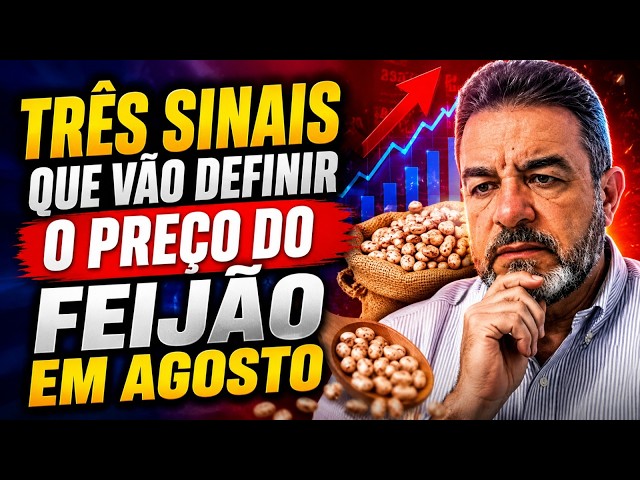 Três sinais que vão definir o preço do feijão em agosto