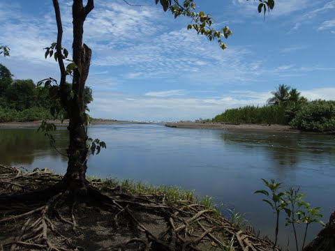 Corcovado National Park Rescue Project!