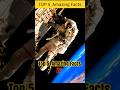 Do You Know Wgitachi Facts Amazingfacts Gamtng Space Factsinhindi Universe Viral Knowledge