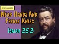 Isaiah 35:3  -  Weak Hands And Feeble Knees || Charles Spurgeon’s Sermon - Wanderean Isaiah 35:3  -  Weak Hands And Feeble Knees || Charles Spurgeon’s Sermon