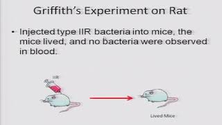 Molecular Basis of Inheritance 4