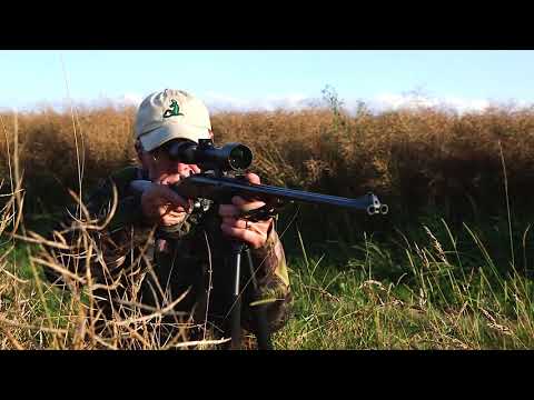 Bockjagd im Hunsrück
