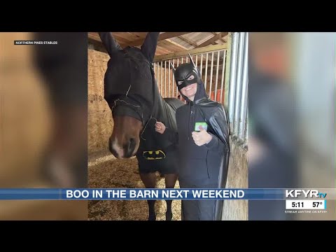 Boo in the Barn bringing spooky fun, equine education - YouTube