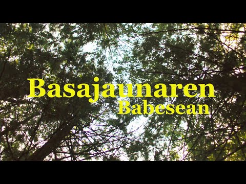 SEMBRANDO KAOS - BASAJAUNAREN BABESEAN (Video/Letra)