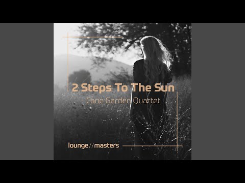 2 Steps To The Sun