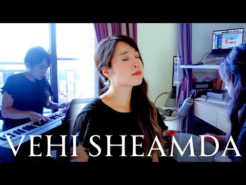 Vehi Sheamda (He Stood With Us), Jewish Passover Prayer | Cover by Melody Hwang