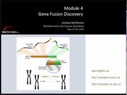 Gene Fusion Discovery