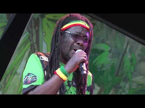 BLACK ROOTS live @ Main Stage 2017