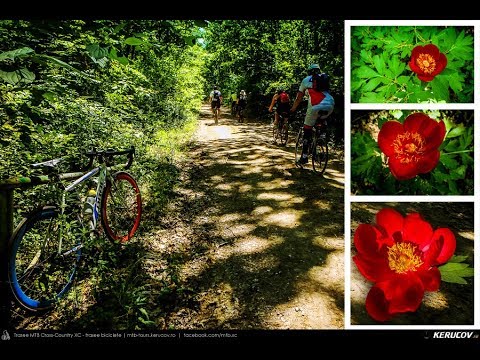 KERUCOV .ro: [VIDEO] Traseu SSP Bucuresti - Comana - Vlad Tepes (bujorul de padure - Padurea Comana)