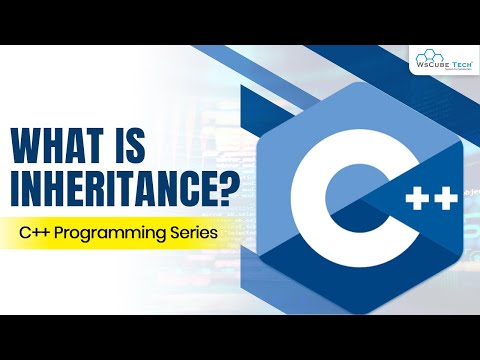 What is Object Oriented Programming OOPS C Tutorials for Beginners