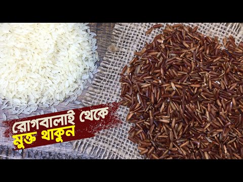 Benefits of red rice • Ways to stay free from complex diseases