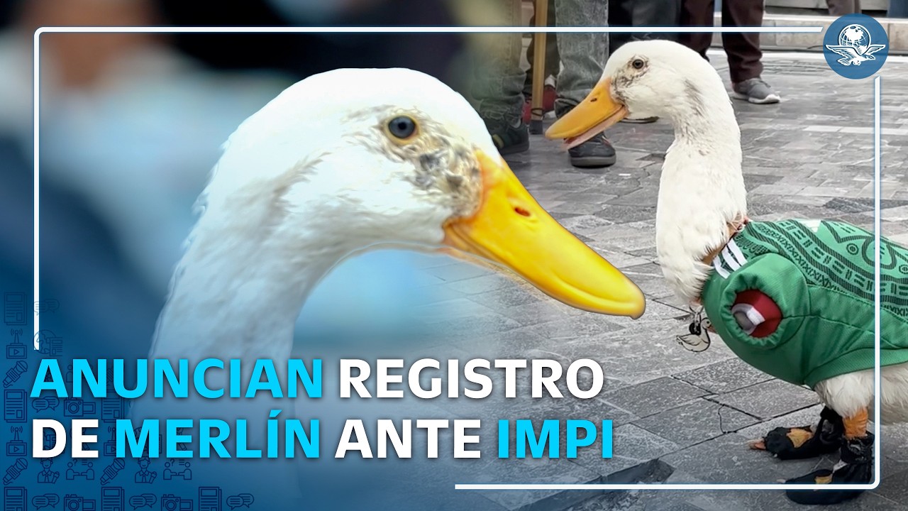 Dueña de Merlín anuncia registro de marca ante el IMPI; rechaza a empresas