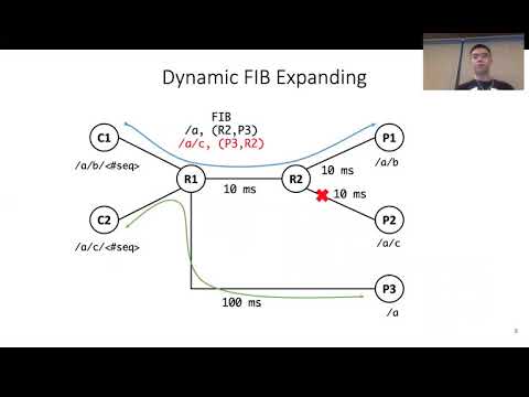 ACM ICN 2020 - On the Prefix Granularity Problem in NDN Adaptive Forwarding