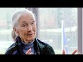 Jane Goodall On Environmental Activism And People Centred Development