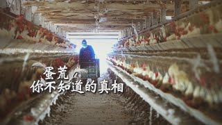 [問卦] 去年缺蛋，今年缺蛋，缺蛋變成常態？