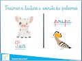 Letra P