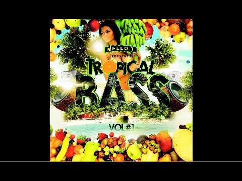 TROPICAL BASS-MOOMBAHMANIA 2014 MELLO T LIVE DJ SET