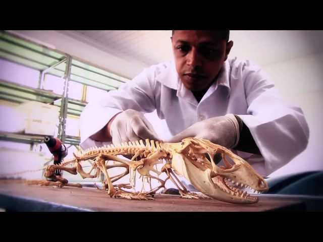 Federal University of Goias video #2