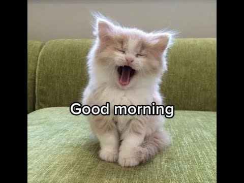 𝐣𝐮𝐬𝐭 𝐦𝐚𝐲𝐛𝐞.