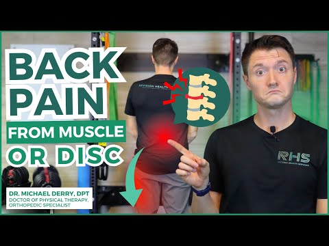 How Do You Know If Back Pain Is From Muscle or Disc? Figure it out now!